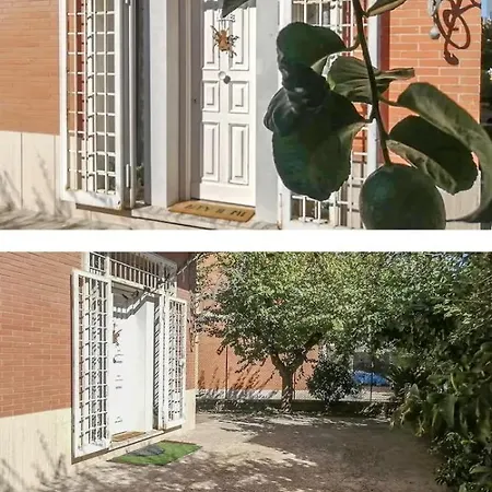 Andry House Exclusive *